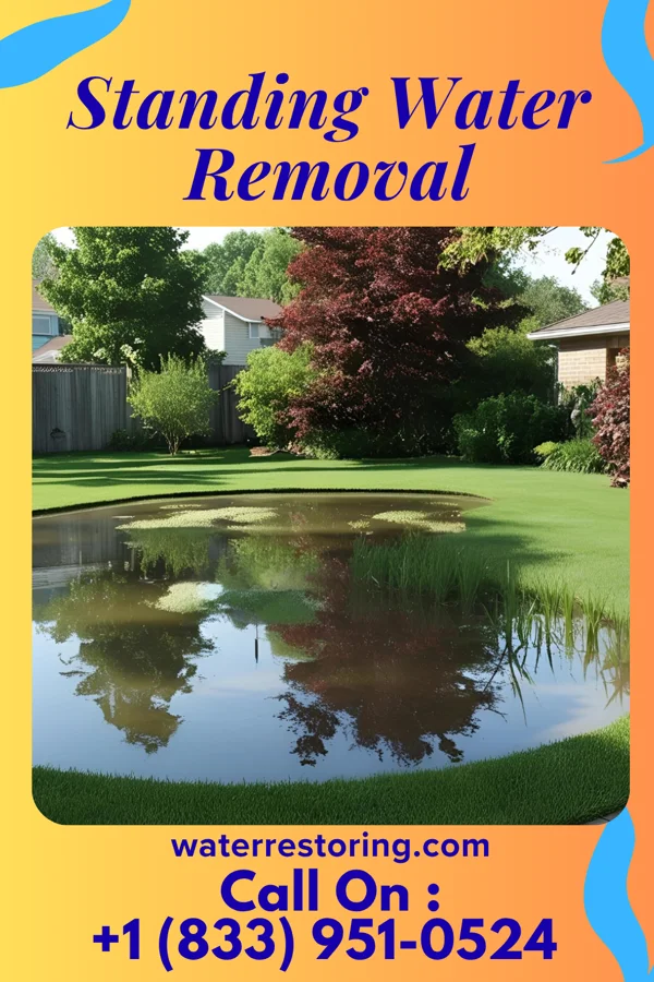 Standing Water Removal in Zanesville, OH